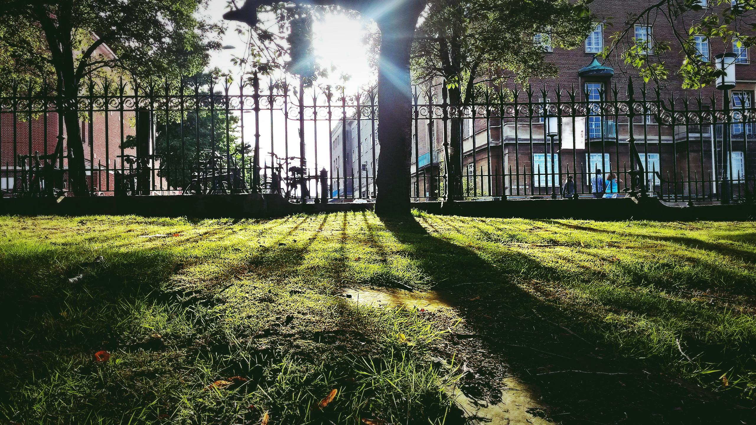 Sunlight casting shadows through iron gate in a green park, Norfolk, England.