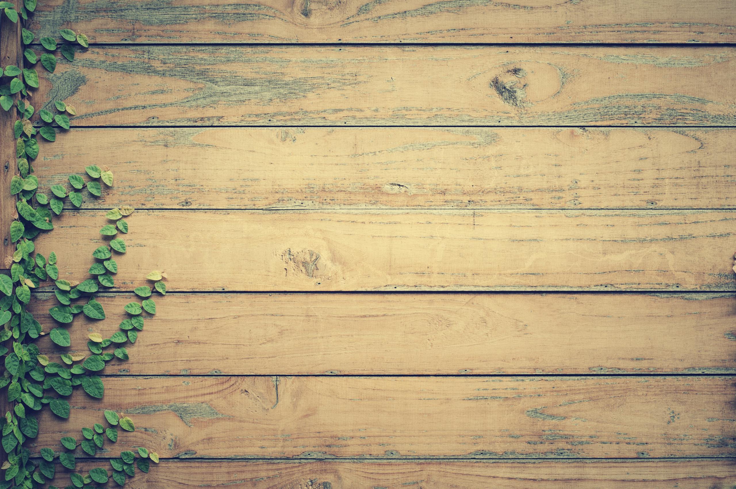 Natural rustic wood panel background with green creeping vines.